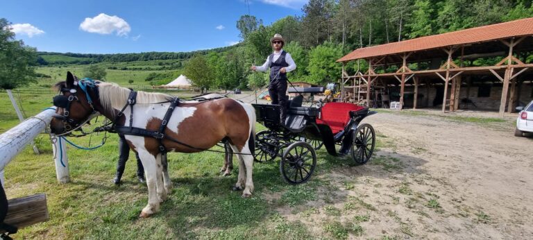 erdely_csapatepito_helyszin (2)